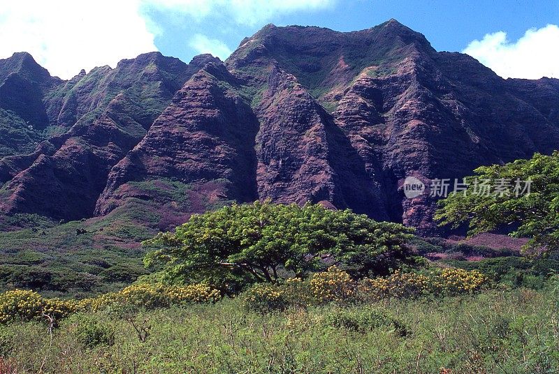 夏威夷瓦胡岛靠近卡内奥河的迎风面受侵蚀的火山峭壁