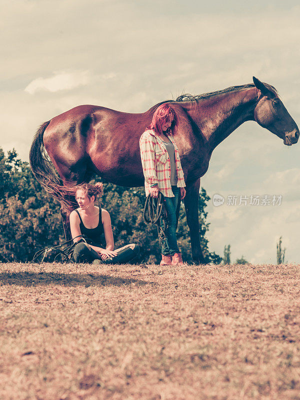 骑师和马坐在草地上