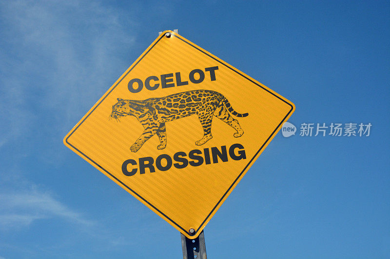 Ocelot过马路标志