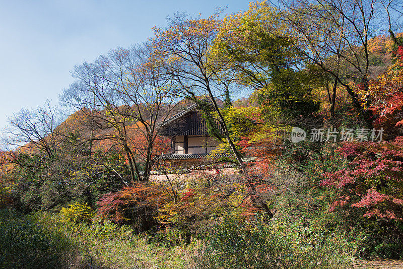 韩国白癜风的秋色