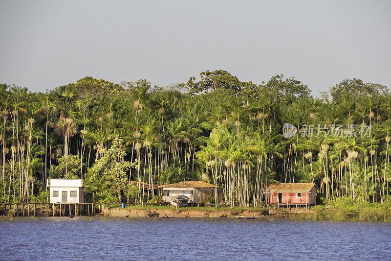 沿着亚马逊河建造的房屋