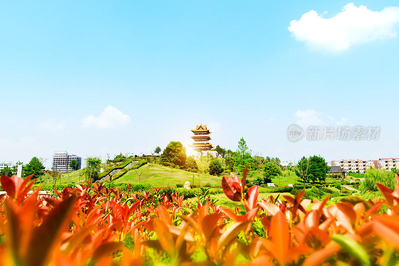 湖中亭和荷塘。位于承德避暑山庄。它是位于中国河北承德市的一座大型皇家宫殿和园林建筑群。