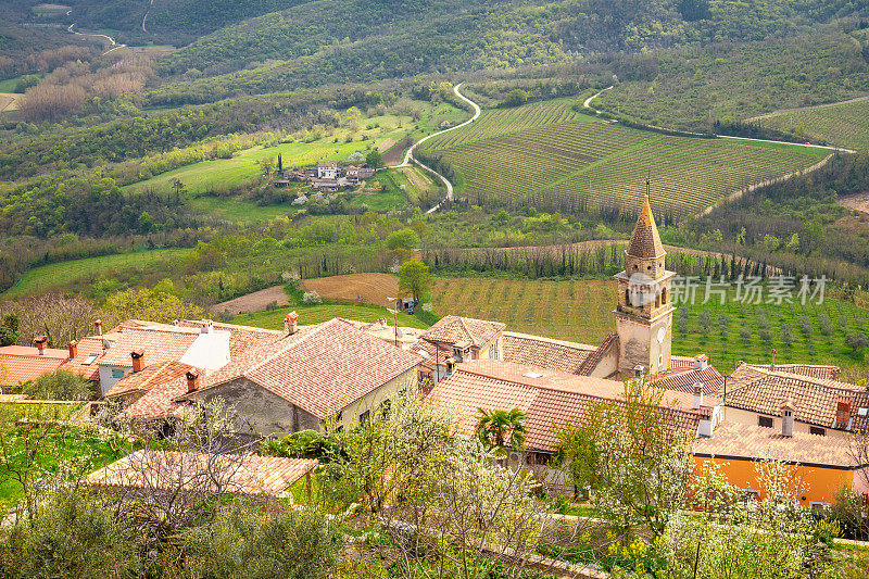 古老的地中海城市Motovun。