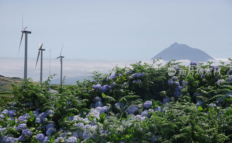 faal岛和Pico岛，亚速尔，葡萄牙