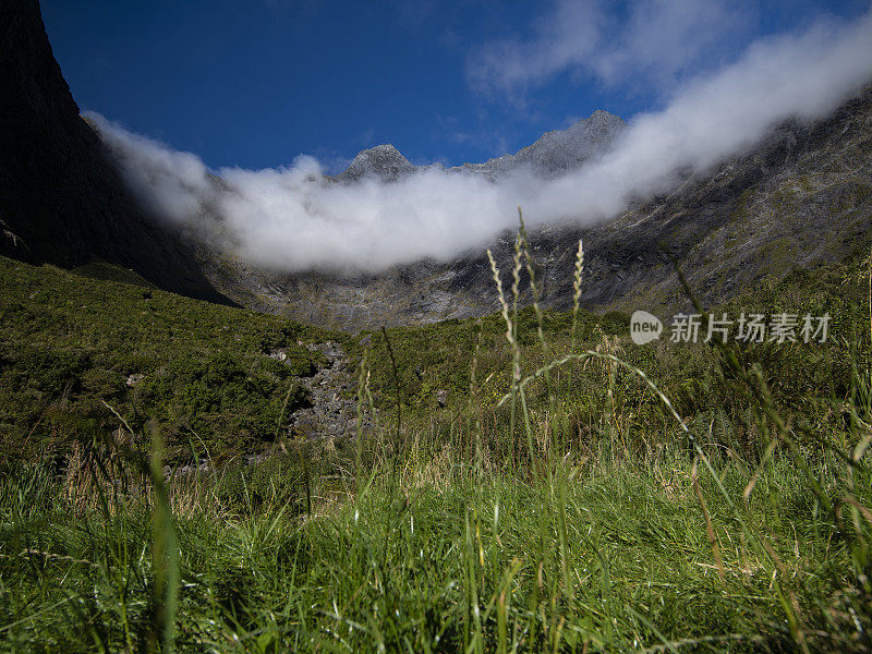 在去新西兰南岛米尔福德湾的路上