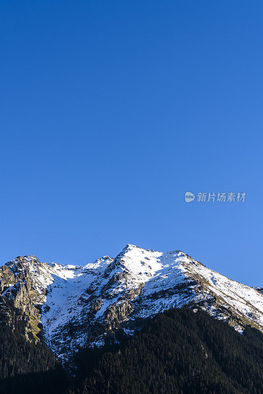 白雪皑皑的山峰