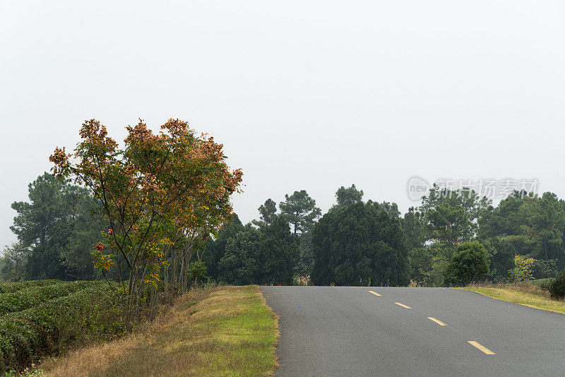 乡间小路