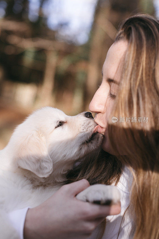 亲吻金毛猎犬小狗的女人