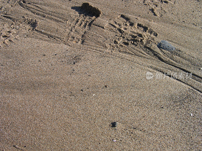沙子上有脚印，鞋子或棍子
