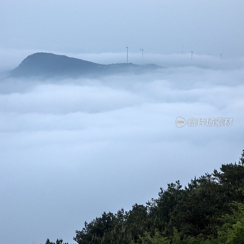 山风电场