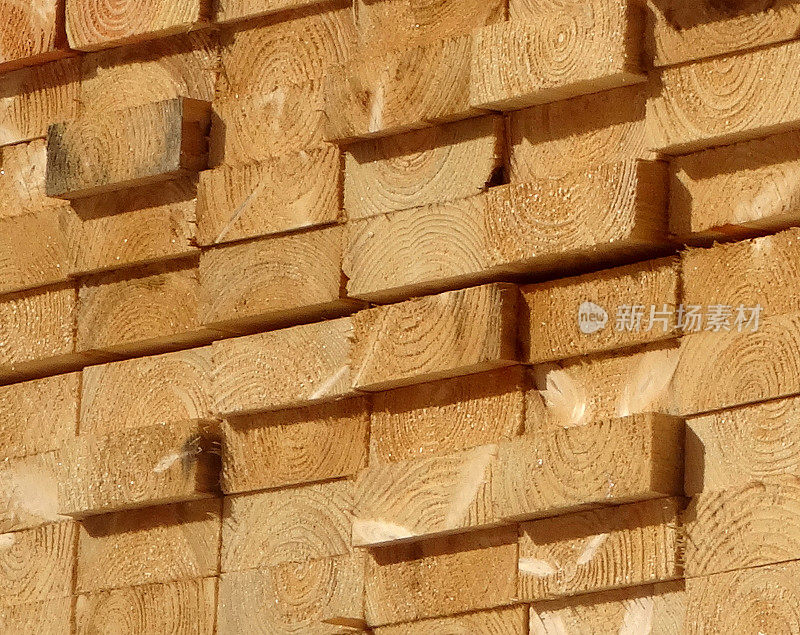 木板末端的木纹图像，木材场的木材