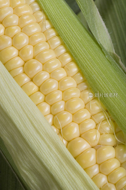 玉米芯上的玉米垂直对角CU