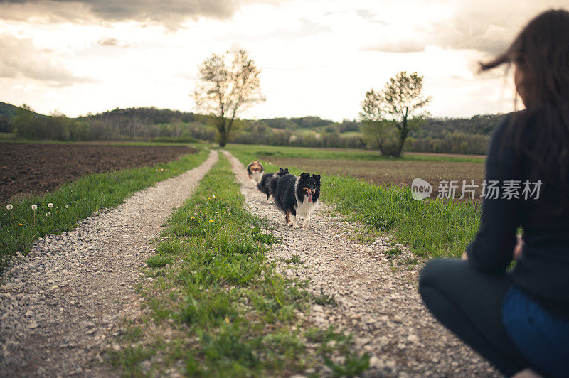 年轻孕妇和她的狗在户外