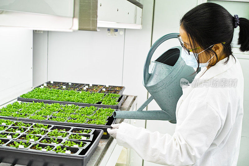 从事植物生物学研究