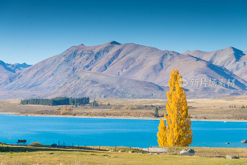 昆斯敦南岛法玛斯的全景