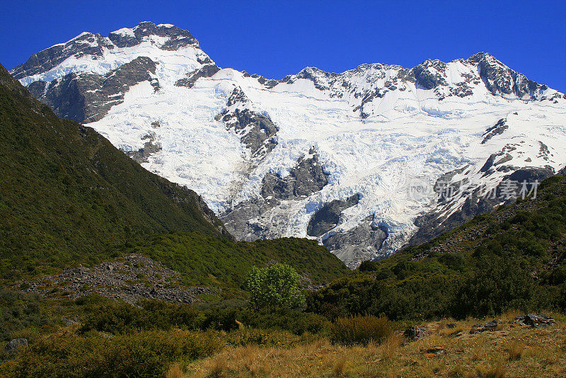 雄伟的库克山冰雪覆盖的山脉和冰川从胡克格林山谷，坎特伯雷，田园诗般的南新西兰