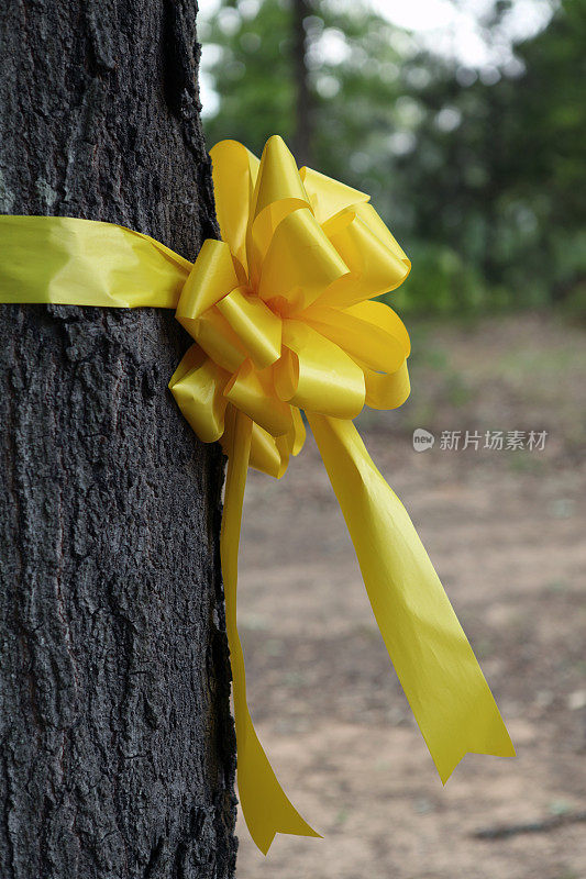 树上的黄丝带