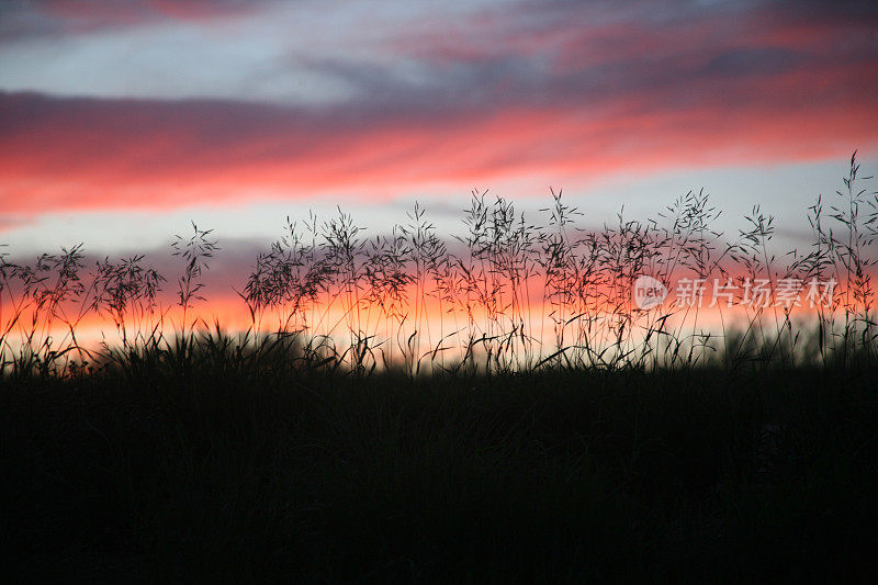 夕阳下的草原草