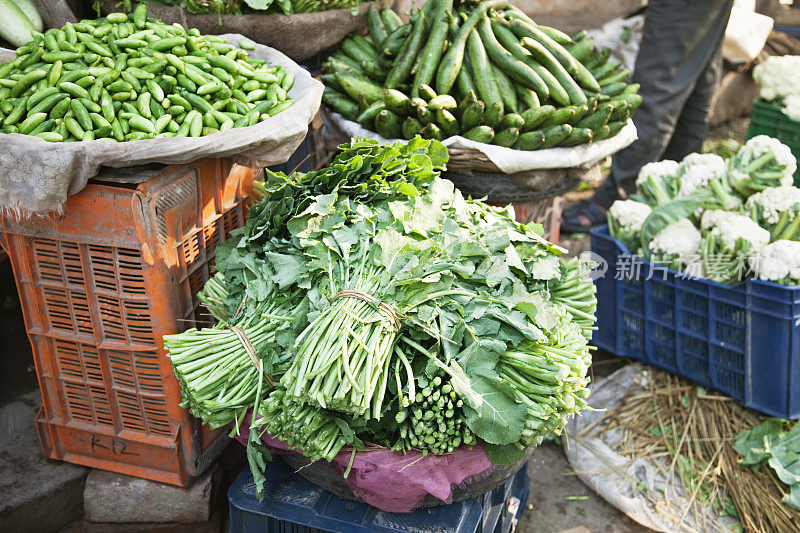 新德里市场上的新鲜绿色蔬菜