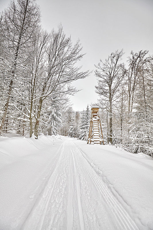 冬季森林里的狩猎讲坛。
