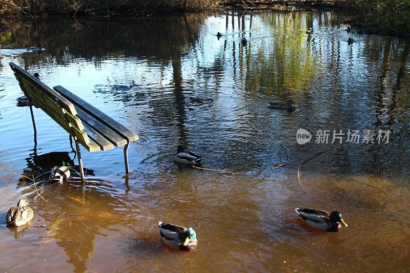 淹水公园