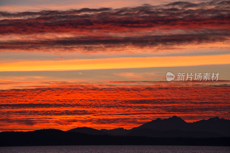 奥林匹克山的日落