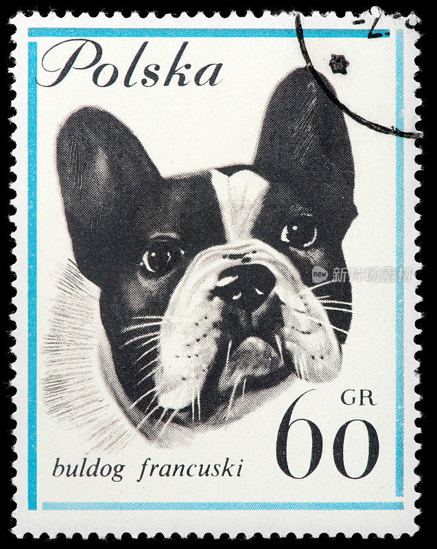 法国斗牛犬狗复古邮票