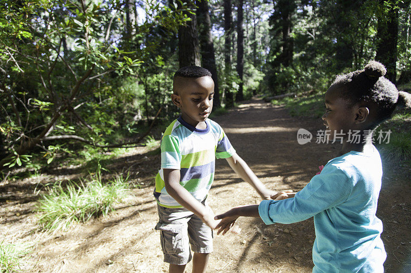 非洲的孩子们将手牵着手进入森林