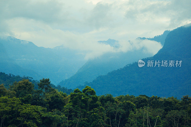 洪都拉斯的丛林和山脉