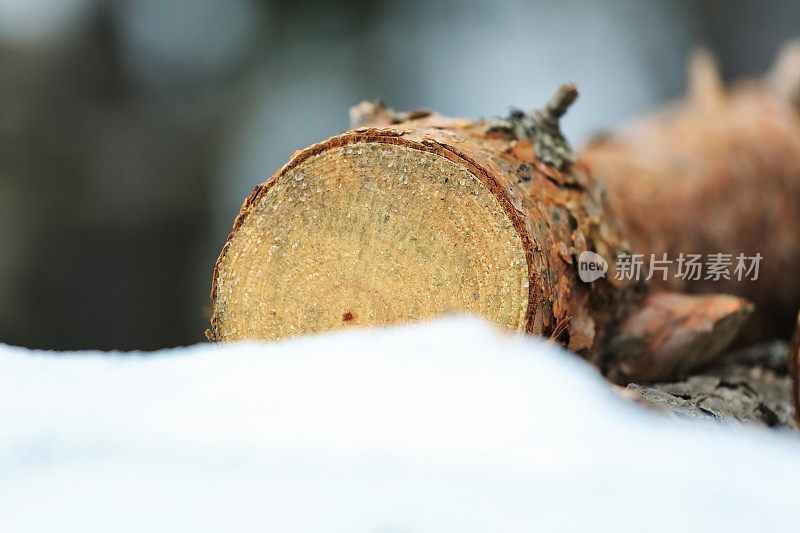 积雪下堆放的原木