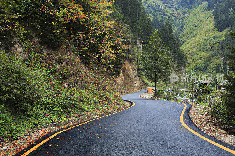 蜿蜒的道路