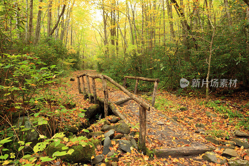 田纳西州大烟山