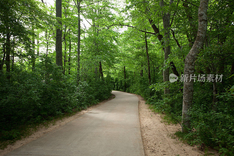 密歇根州的一条穿过树林的小路