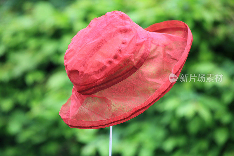 红色的女性夏季帽子