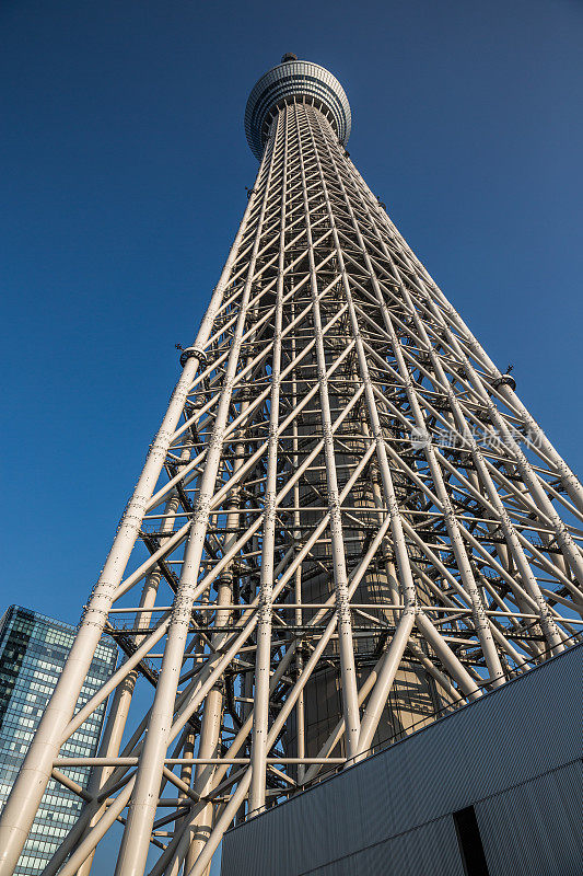 东京天空树，世界第二高的建筑，日本