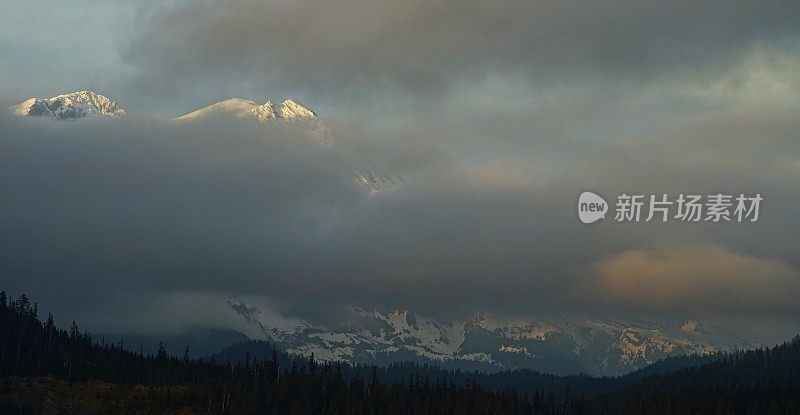 雷尼尔自然神秘山