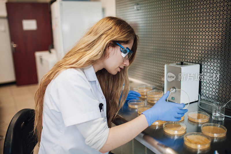 在实验室工作的生物研究科学家