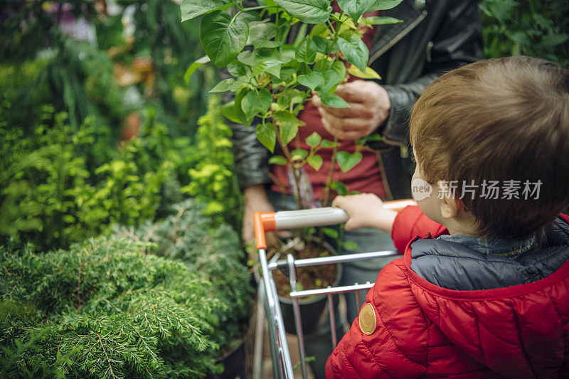 春天，一家人在花园商店买树