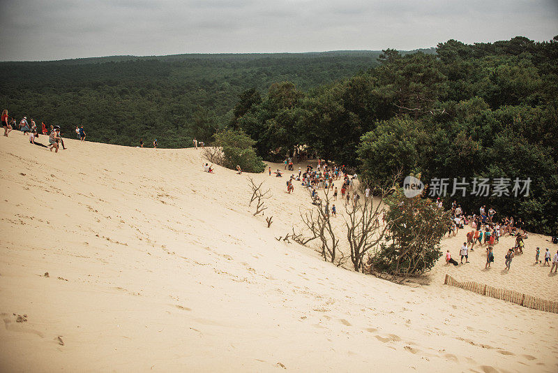 皮拉大沙丘，法国