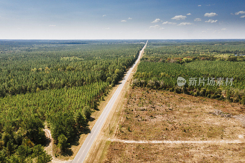 美国南部一条笔直向前的道路的鸟瞰图