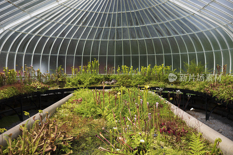 格拉斯哥植物园位于伦敦西区，以几个温室为特色，其中最著名的是基布尔宫。