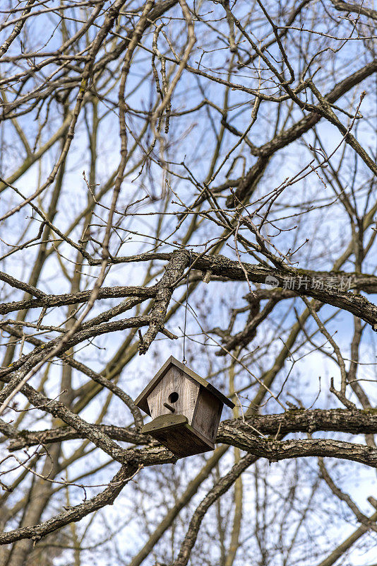 木鸟笼挂在树上