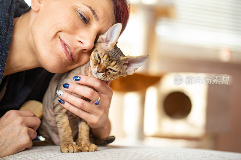 深情的女主人抱着小猫对她的脸-股票照片