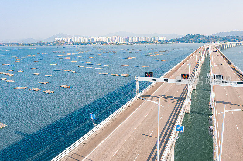 香港深圳湾大桥