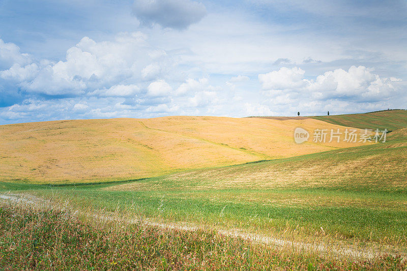 风景优美的托斯卡纳风景与起伏的山丘和山谷在金色的晨光，瓦尔德奥西亚，意大利