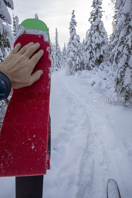 人类把皮肤涂在滑雪板上爬山