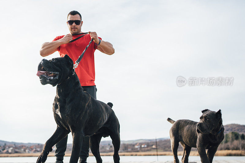 肌肉发达的男人带着两条警犬