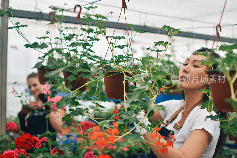 花匠，在温室里种花的妇女