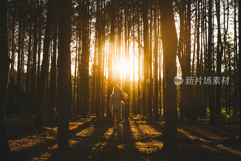 年轻女子在美丽的森林里奔跑，夕阳西下