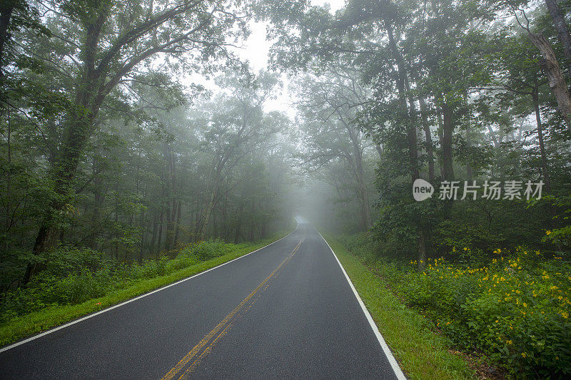 雾蒙蒙的乡间小路